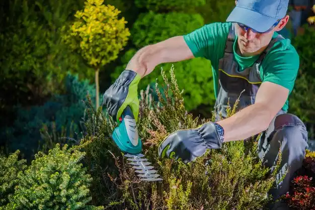 landscaping services Mississippi State